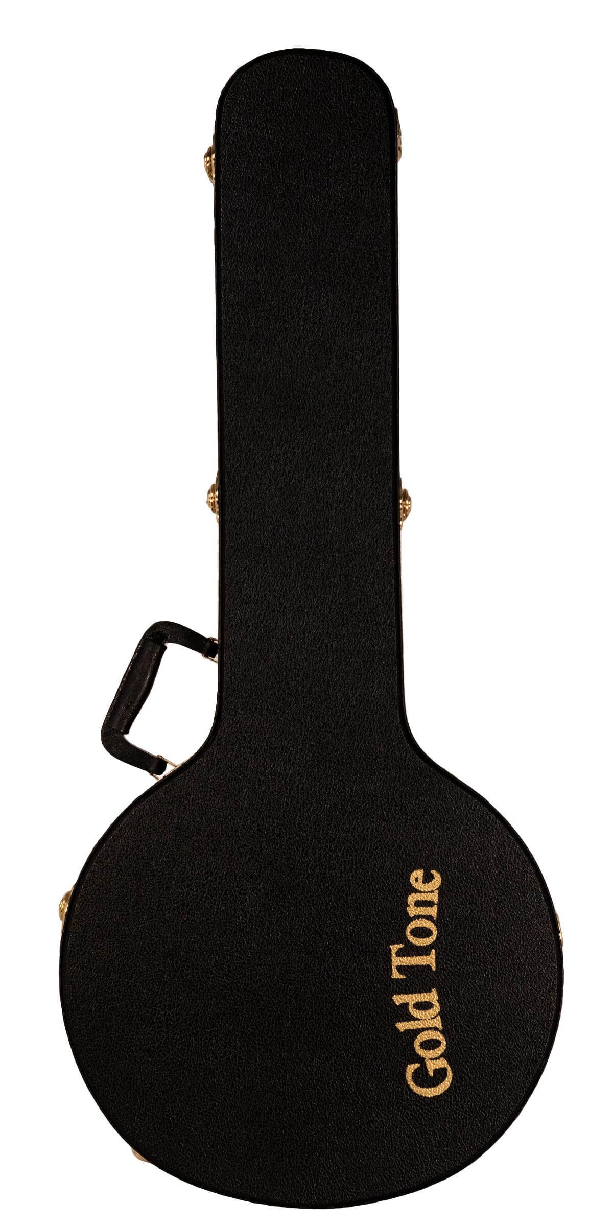 Amazon.com: Gold Tone GT-750 Banjitar Deluxe Banjo (Six String